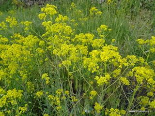 Rifugio Pietra Cannone